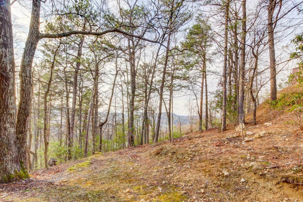 Misty View Cabin Hatchertown المظهر الخارجي الصورة