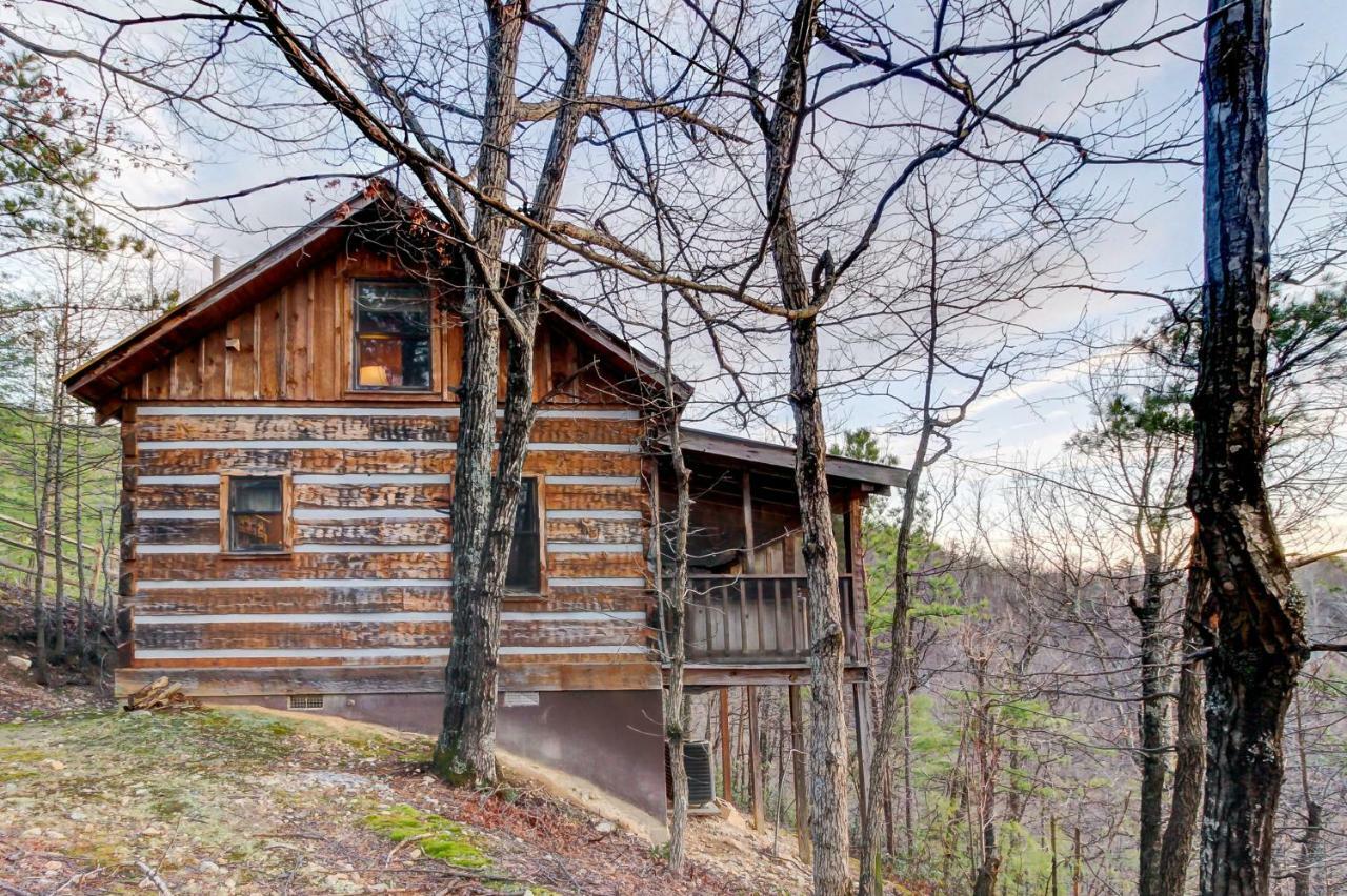 Misty View Cabin Hatchertown المظهر الخارجي الصورة