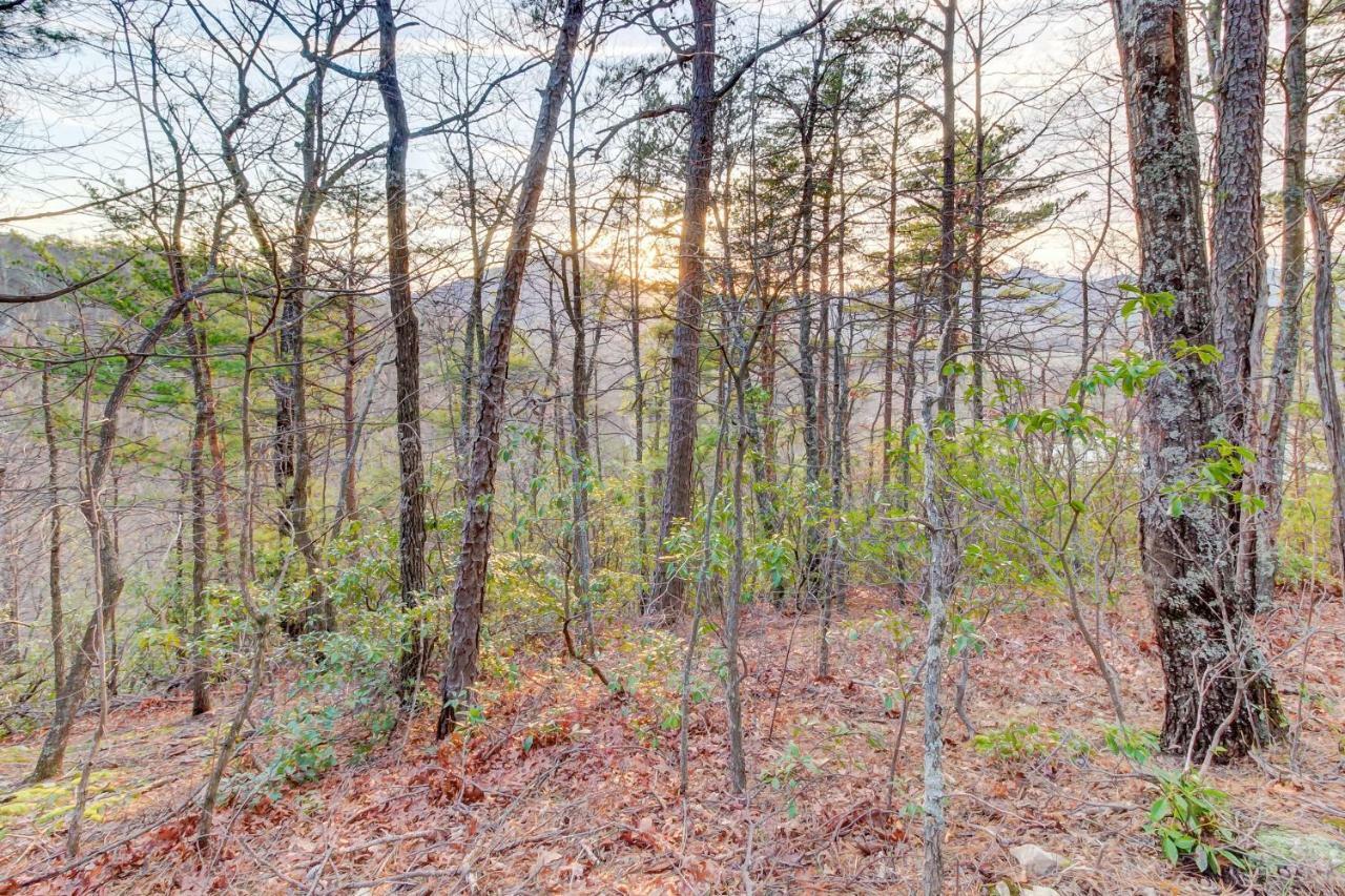 Misty View Cabin Hatchertown المظهر الخارجي الصورة