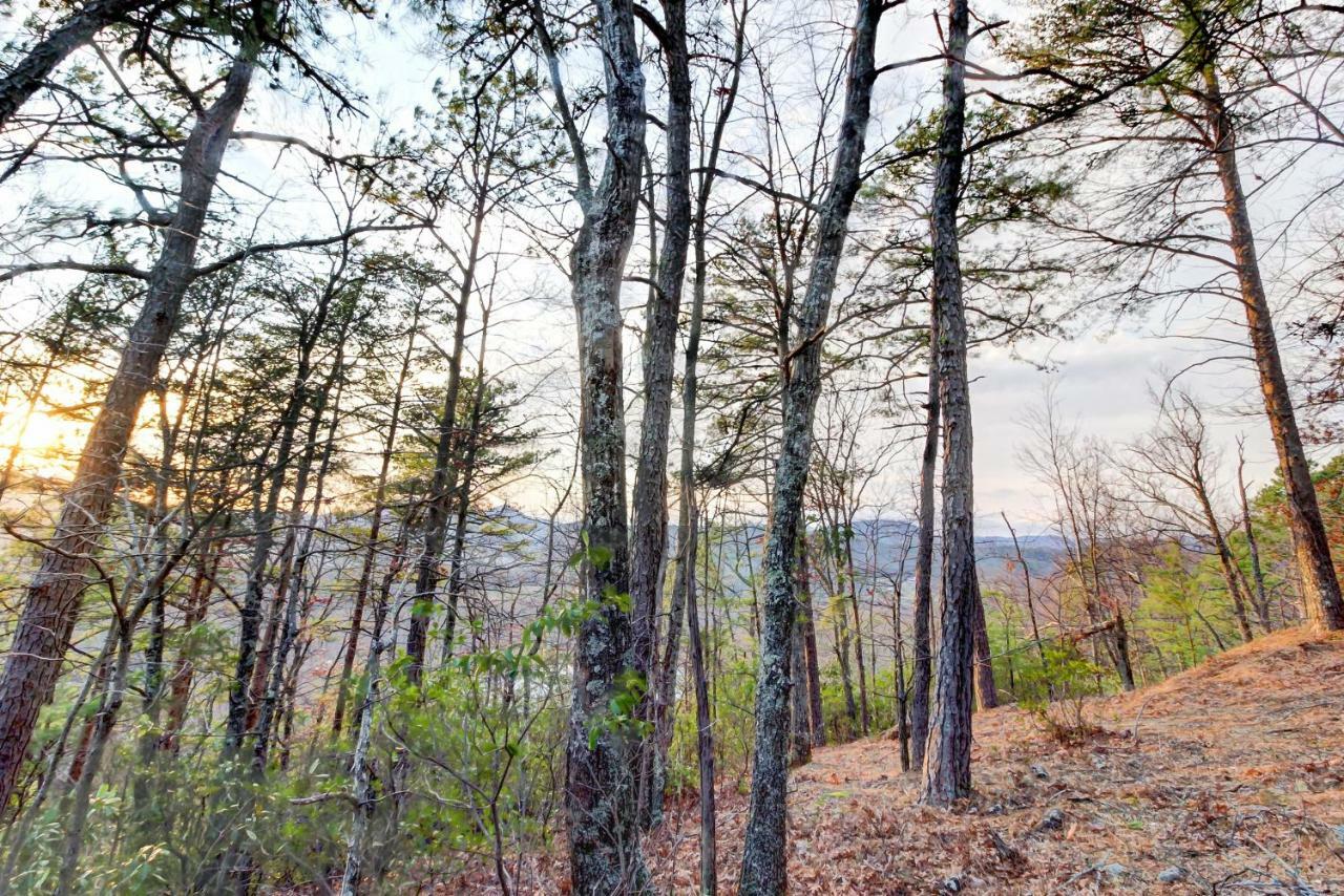 Misty View Cabin Hatchertown المظهر الخارجي الصورة
