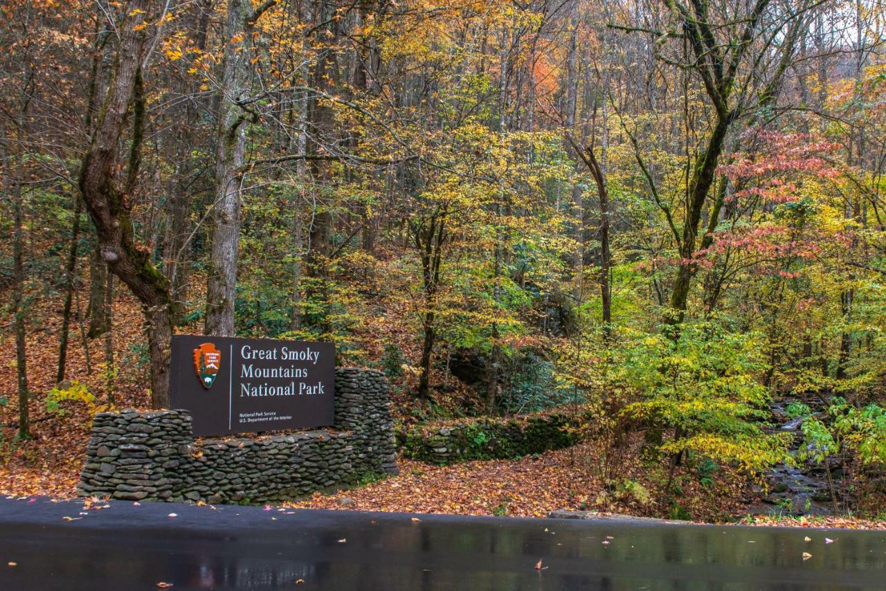 Misty View Cabin Hatchertown المظهر الخارجي الصورة